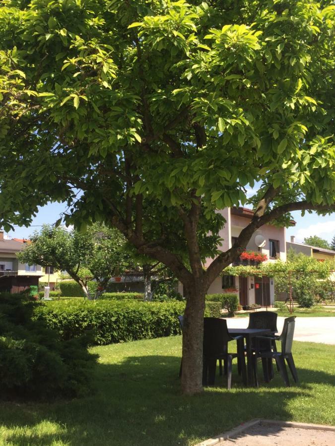 Apartman Studio Sonas 3 With Free Private Parking Karlovac Eksteriør bilde